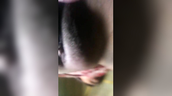 Bengali Wife with Shaved Pussy Gets Pounded Hard
