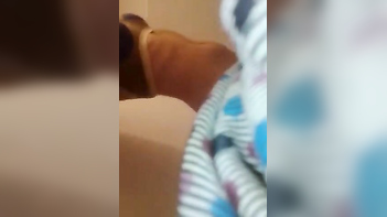 Punjabi Teen Sucks Dick Like a Pro, Perfect Tits, Wild Sex Session