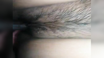 Desi Aunty with a Hairy Pussy Gets Pounded Hard