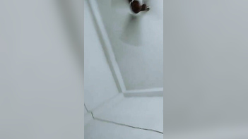 Bangla Housewife Caught in Wild, No-Holds-Barred Sex Session With Her Damn Lover