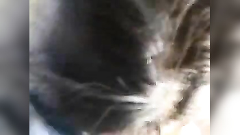 Hooker Rides Dick in Hotel Room Like a Damn Pro, Sucking and Riding Non-Stop