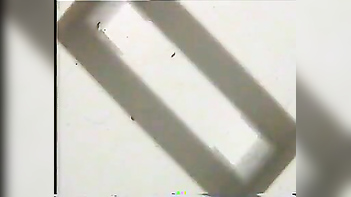 Indian Housewife with Massive Tits from Lucknow Sucks Dick Like a Pro