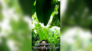 Desi Village Chick Getting Pounded In The Jungle Wildly