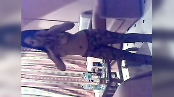 Hot Muslim Babe Shows Off Her Giant Tits and Perfect Naked Body.