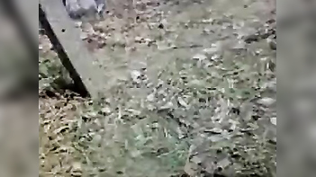 Bhopal Prostitute Catches Outdoor Dick Action on Camera With Juicy Hindi Audio