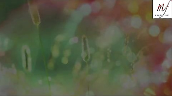 Indian Mature Porn Video - My Friend’s Wife In steamy Bollywood Masala Action