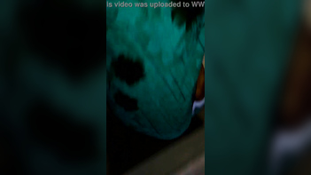Milf Gets Pounded Raw in Wild Orgy, Screaming Like a Fucking Lunatic, Juicy Pussy Dripping Wet.