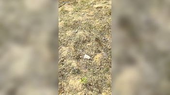 Local Randi Caught Outdoor in Action - Wild, Uncensored Sex Tape Revealed