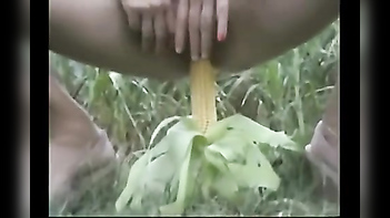 Experience Unparalleled Pleasure with Desi Bhabhi Outdoor Masturbation Using a Long Corn Stick