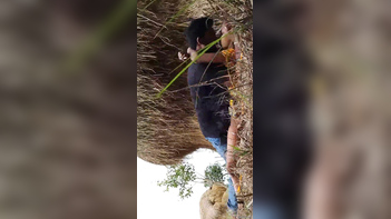 Desi Couple Going At It In The Fields, Quality Porn You Don’t Want to Miss