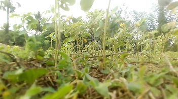 Step Sister and Her Lustful Daughter Seduce the Hell Out of Me