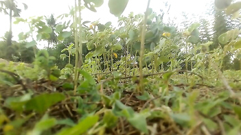 Step Sister and Her Lustful Daughter Seduce the Hell Out of Me