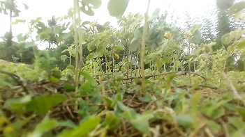 Step Sister and Her Lustful Daughter Seduce the Hell Out of Me