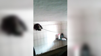 Young Indian Chick Strips and Shows Off In Shower - Home Porn Caught On Tape