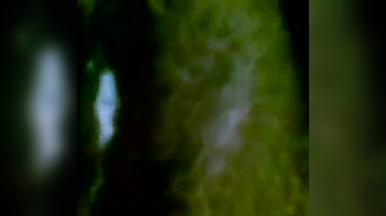 Tamil Bhabhi Gets Pounded By Her Horny Office Buddy In Bed