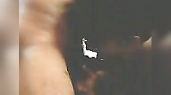 Bitch Sucks Dick Like A Pro, Wild Orgasm Guaranteed, Damn That Pussy Tight