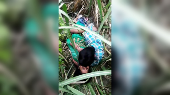 Desi College Chick Getting Pounded Hard Outdoors