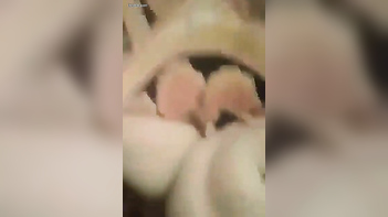 Hell, Watch This Desi Couple’s Insanely Hot and Steamy Kiss Action