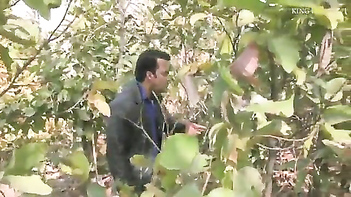 Wild Action - Savage Dick Mangles Pussy in Raw Jungle Fuck Fest