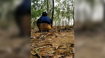 Pissing Outdoors - Friend's Wild Request Fulfilled in Public!