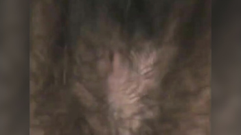 Desi Babe Shyly Exposes Hairy Pussy to Horny Partner in Steamy XXX Encounter
