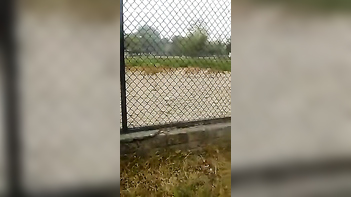 Desi Wife Flashes Soft Tits to XXX Driver in Wild Sex Act