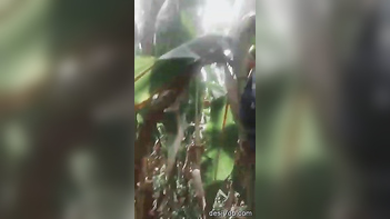 Hot Tamil Village Slut Outdoors - Rough Pounding and Screaming Orgasms.