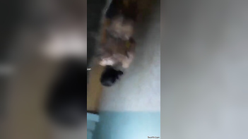 Perverted Lad Secretly Films Desi Babe Soaping Up Her Hot Body in the Shower