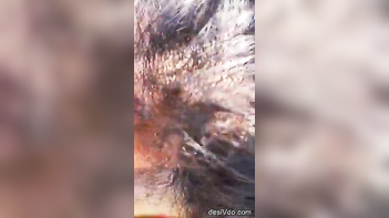 Wild Indian Village Babe Gives Sloppy Outdoor BJ, Gets Messy Facial