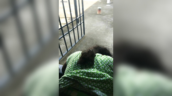 Chubby Aunty Rides Husband's Hard Cock, Moaning Loudly and Begging for More.