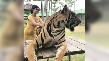 Busty Desi Babe Gets Pounded Hard and Creamed All Over Her Big Curves