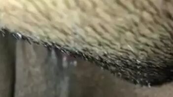 the Horny Housewife's Wet Pussy While She Sleeps Hard.