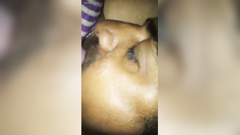 Furious Bhabi Gets Her Pussy Ravaged and Sucked Hard by Her Horny Husband