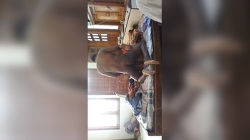 Debor Bhabi's Hidden Cam Sex Tape - Watch This Indian Slut Get Pounded!