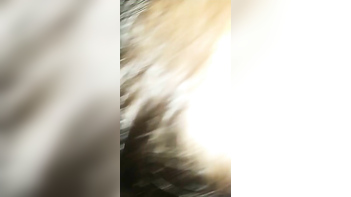 Dehati Sucking, Fucking, and Juicy Chudai with a Young, Tight Raandi Girl