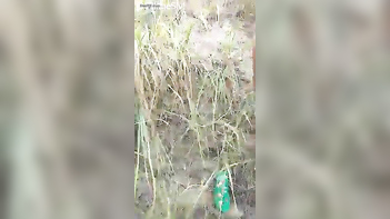 Horny Desi Bhabi Gets Pounded Outdoors, Moans Loudly in Indian Porn Tube Video.