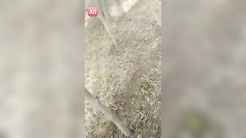 Wild College Sluts Get Pounded Hard in Public - Real Amateur Indian XXX!