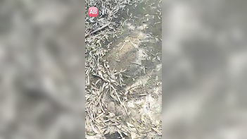 Wild College Sluts Get Pounded Hard in Public - Real Amateur Indian XXX!