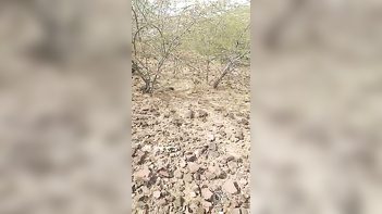 Village Girl Ravaged Outdoors by Horny Local Guys - Hardcore Indian Porn Action