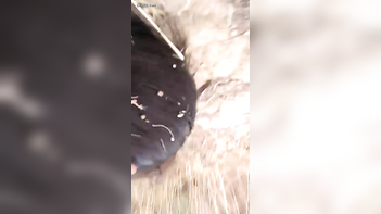 Hairy Pussy Babe Gets Fucked Raw and Rough, Cunt Dripping Wet, Moaning Loud