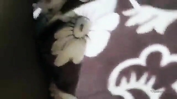 a Pure Tamil Girl - Hot Desi Babe Ravaged by Her Horny Lover - Indian Porn Tube.