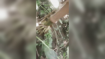 Chick Gets Pounded Outside in Dehati Chitkul Village, Naked and Wild ACTION