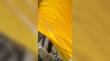 Newly Married Village Slut Caught Naked and Fucked Hard - Indian Porn Tube Video