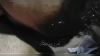 Sri Lankan Couple Gets Wild in Hotel Room, Fucking Like Animals Non-Stop