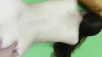 Asian Slut Screams and Cums Hard in Wild Fucking Action.