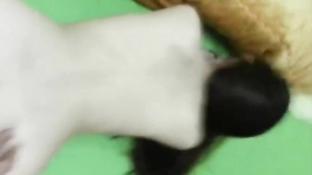 Asian Slut Screams and Cums Hard in Wild Fucking Action.