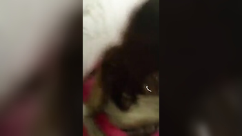 Desi Housewives Get a Glimpse of Their Wild Side with Doggy Style Sex MMS