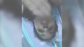 Amateur Desi Sex MMS of Kanpur Girl Shezna - An Unforgettable Experience