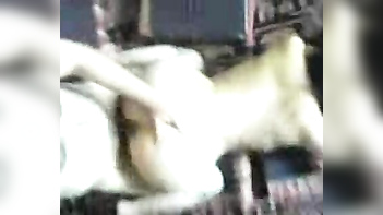 Desi Indian Couple's Intense Home Sex Video Captured on Camera