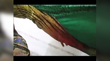 Kanpur College Girl's Eye-Popping Erotic Strip Show Leaves Audience Breathless